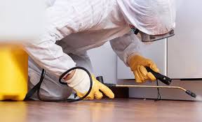 Best Termite Inspection and Treatment  in South Haven, MI